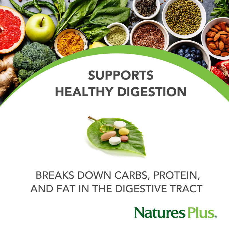 [Australia] - NaturesPlus UltraZyme - 120 mg Ox Bile, 90 Tablets - Maximum Strength Digestive Enzyme Supplement, Anti-Inflammatory, Promotes Nutrient Absorption - 45 Servings 