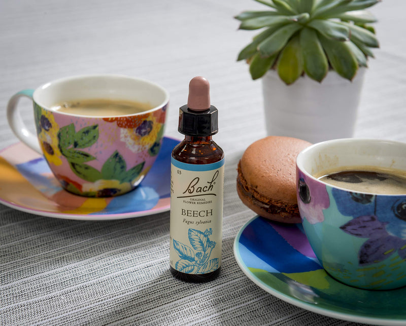 [Australia] - Bach Original Flower Remedy Beech, Flower Essences, Vegan formula, Let me be me, An Individual and Personal Approach to Emotional Wellness, Easy to use, 1 Dropper Bottle x 20 ml 