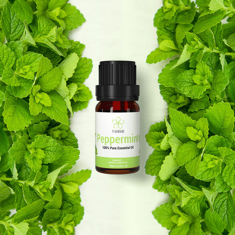 [Australia] - ASAKUKI Peppermint Essential Oil for Sharpening Concentration & Soothing Aches, 10mL - Premium Therapeutic Grade, Cruelty Free - 100% Pure Peppermint Oil for Aromatherapy - by YAHIME 