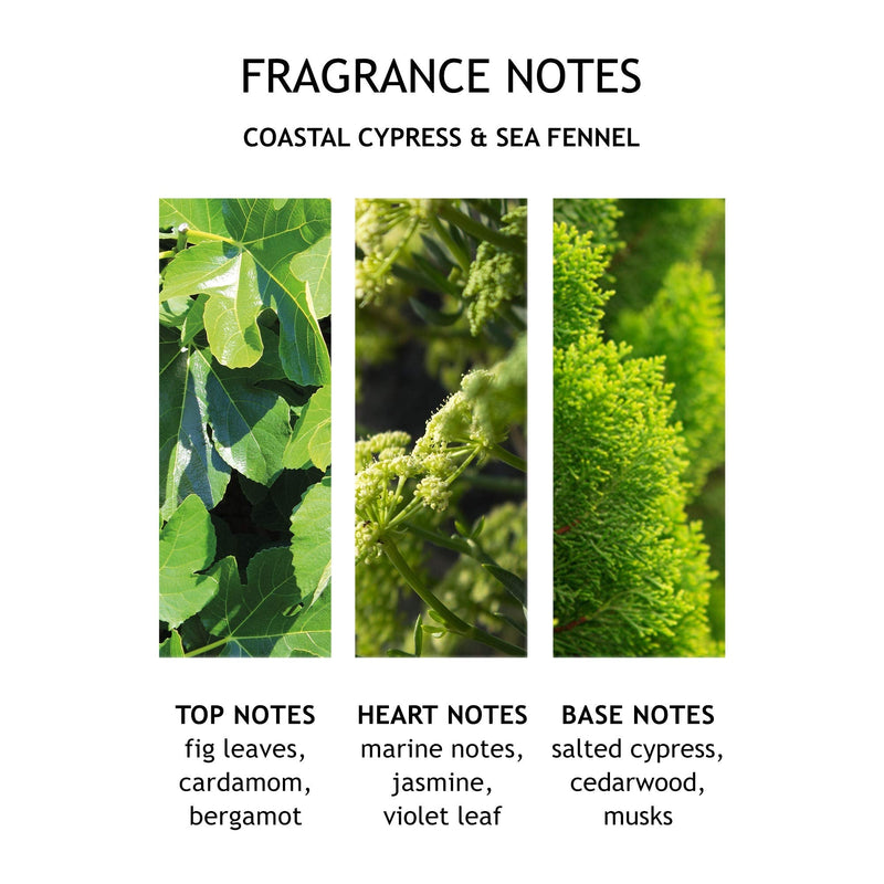 [Australia] - Molton Brown Coastal Cypress & Sea Fennel Body Lotion, 300 ml 