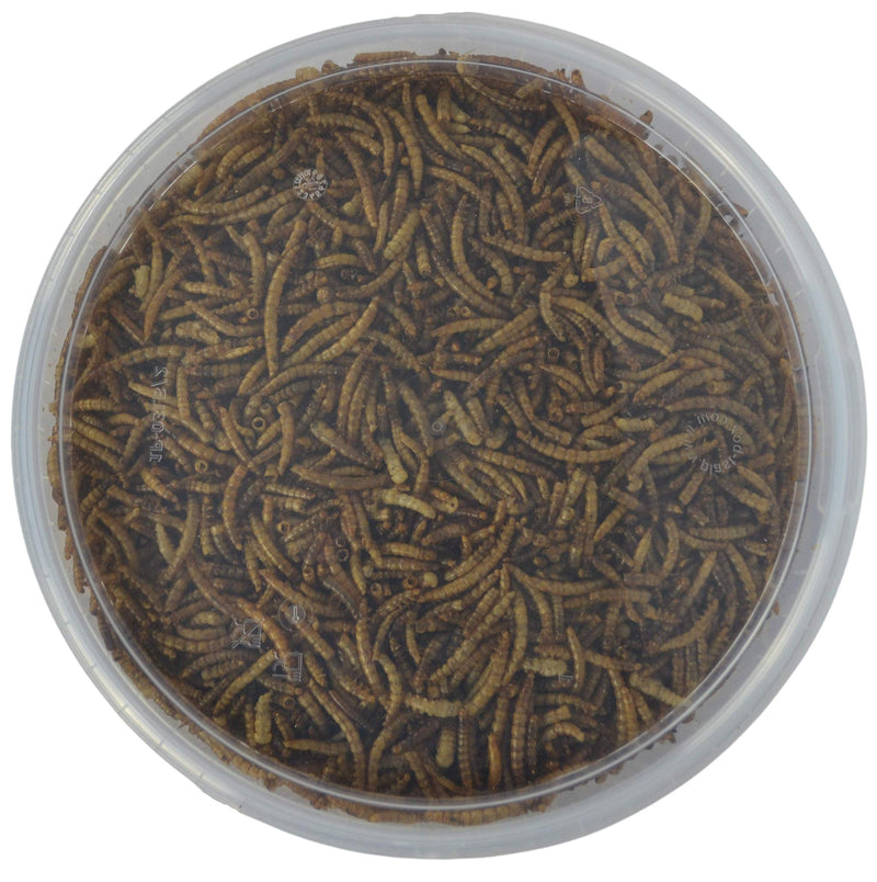 [Australia] - Supa Dried Mealworms for Wild Birds, 3 Litre Bucket, High Energy Protein Rich Treat For Garden Birds, Attract More Birds To Your Garden, Quality Wild Bird Food. 1 3 l (Pack of 1) 