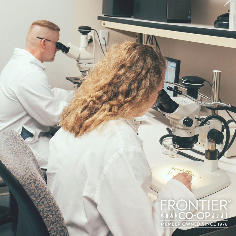 [Australia] - Frontier Co-op Cinnamon Powder, Ceylon, Certified Organic, Kosher, Non-irradiated, Bulk Bag, Sustainably Grown, Cinnamomum Verum J. Presl, Original Version, ,Mildly Sweet and Spicy, 16 Oz 