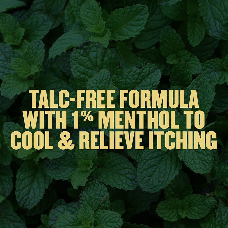 [Australia] - Gold Bond Medicated Talc-Free Foot Powder 10 oz, Maximum Strength Odor Control & Itch Relief 10 Ounce (Pack of 1) 