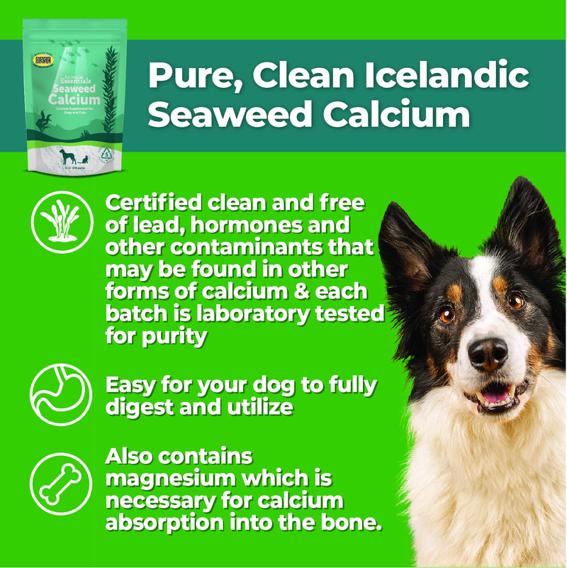 [Australia] - Animal Essentials Seaweed Calcium Supplement for Dogs & Cats, 12 oz - Iceland Seaweed Magnesium, Boron, Zinc 