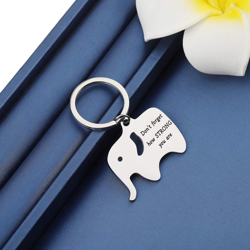 [Australia] - MYOSPARK Don't Forget How Strong You are Elephant Inspirational Keychain Gift for Elephant Lovers STRONG Elephant Keychain 