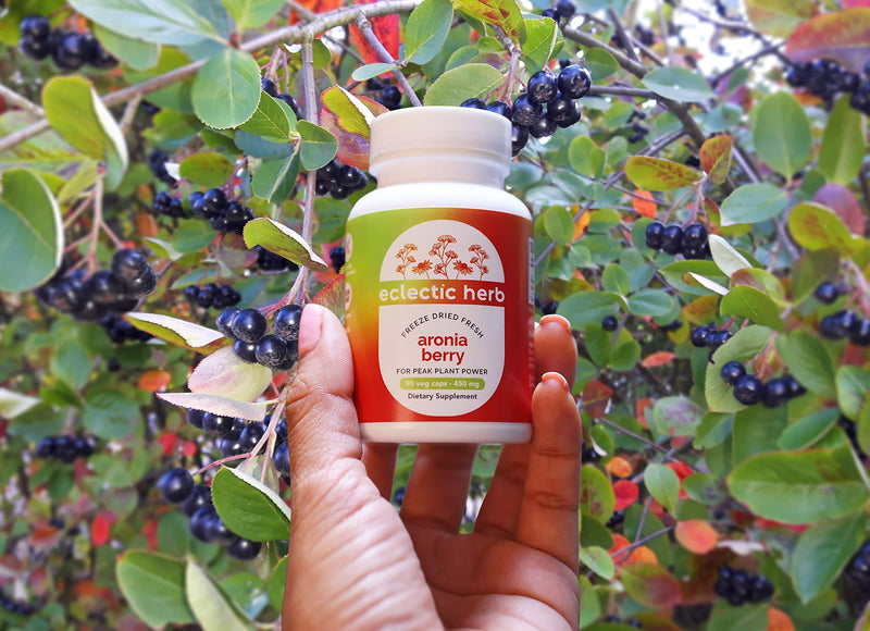 [Australia] - Eclectic Institute Raw Freeze-Dried Organic Aronia Berry Capsules | Supports Heart, Immune System, Digestive, and Urinary Tract Health | 90 CT 