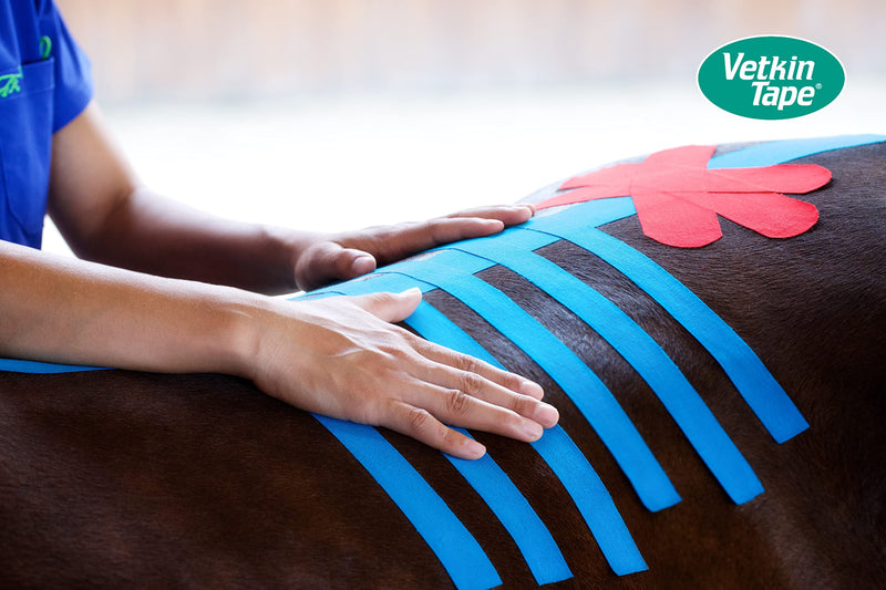 [Australia] - VETKIN VetkinTape® 2.4'' Veterinary Kinesiology Tape | Kinesiology Tape for Horses & Dogs | Equine & Canine Tape Pink 