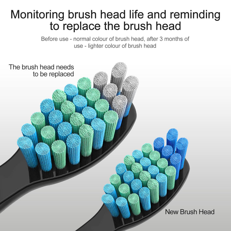 [Australia] - 10 Pack Electric Toothbrush Replacement Heads Compatible with Fairywill，Toothbrush Heads Compatible with FW-507/508/551/515/917/959/2011,D1/D3/D7/D8(Black) Black 