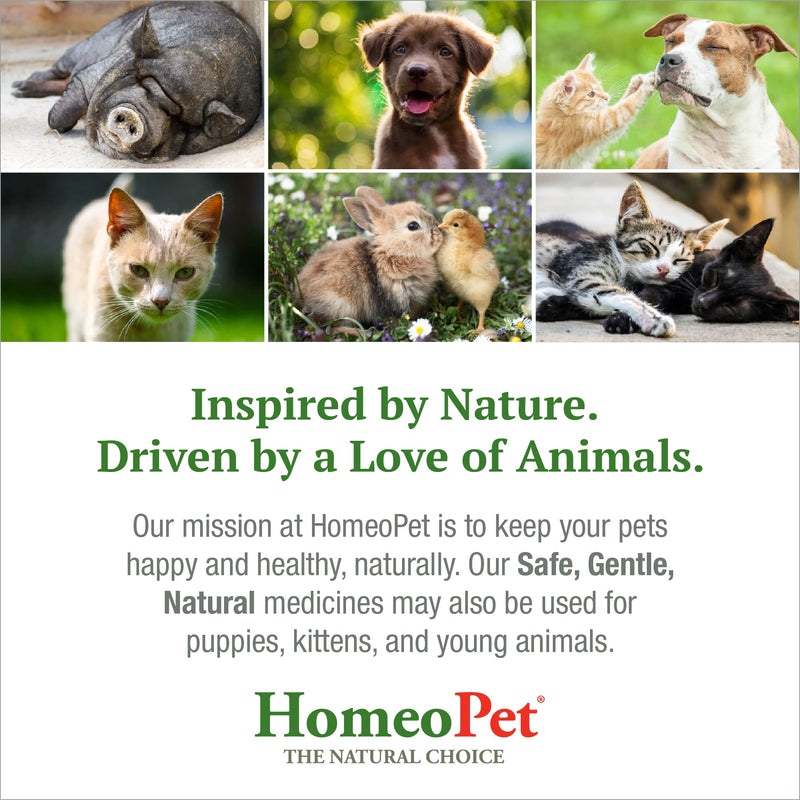 [Australia] - HomeoPet COUGH - 100% Natural Pet Medicine. For barky cough, persistent coughs, kennel cough, sneezing and dry nose. For puppies, kittens, young animals & senior pets. 15ml/up to 90 doses per bottle 