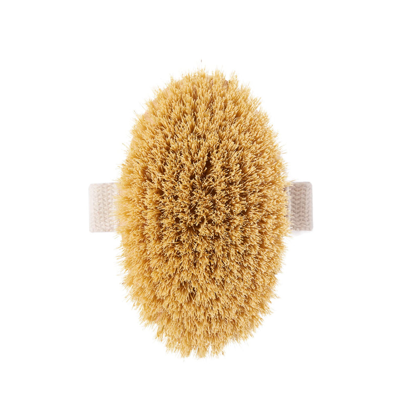 [Australia] - Wild & Stone | Dry Brushing Body Brush | Gentle Exfoliating Brush | Cellulite Remover | Body Exfoliator | Natural & Sustainable Body Brush 