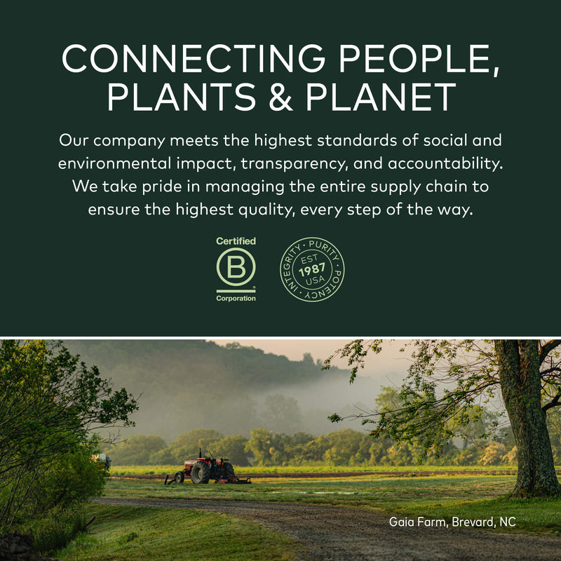 [Australia] - Gaia Herbs Olive Leaf - Traditional Immune Health Support - Immune System Supplement with Olive Leaf Extract and Oleuropein - 120 Vegan Liquid Phyto-Caps 120 Count (Pack of 1) Liquid Phyto-Capsules Standard Packaging 