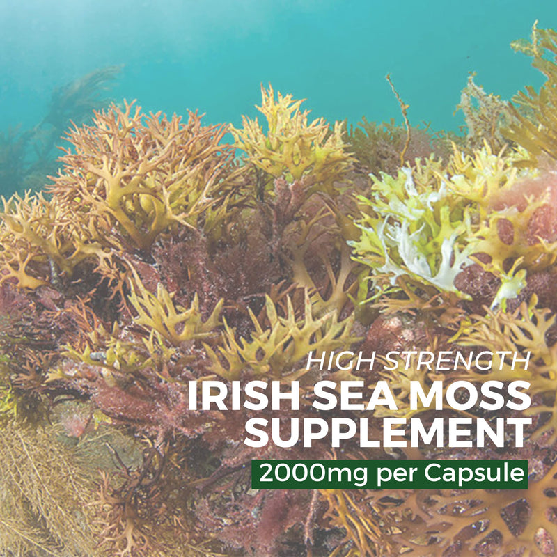 [Australia] - Irish Sea Moss Capsules - 2000mg per Serving - 60 Vegan Capsules - Wild Harvested - Natural Source of Iodine - Chondrus Crispus - Made by nutripact 