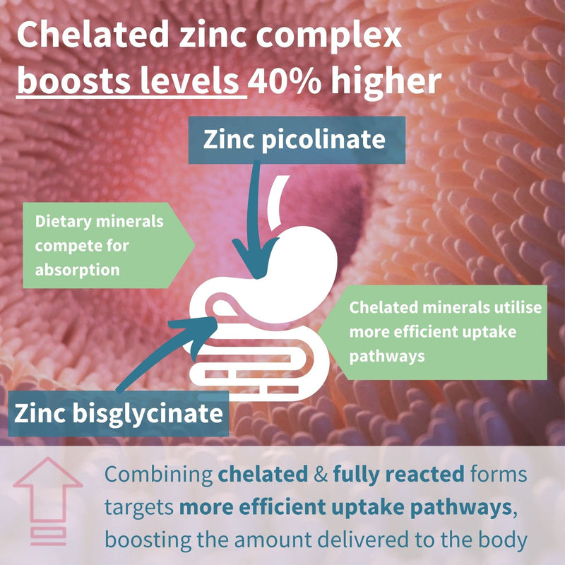 [Australia] - High Absorption Zinc 25mg & Copper Supplement, Clean Ingredients, 180 Vegan Tablets, Chelated Zinc Picolinate & Bisglycinate, One-a-Day, 180 Servings, by Igennus 
