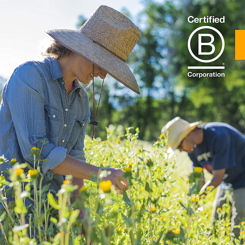 [Australia] - Herb Pharm Myrrh Liquid Extract for Immune System Support - 1 Ounce (DMYRR01) 1 Fl Oz (Pack of 1) 