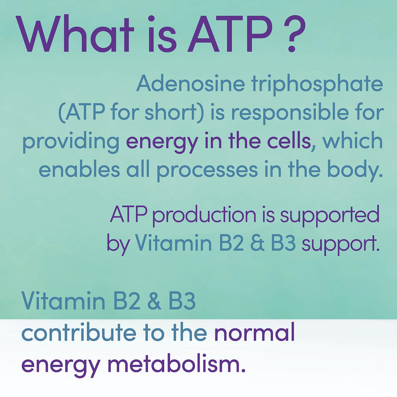 [Australia] - Optimox, ATP Cofactors, with Riboflavin (B2) and Niacin (B3), High Strength, 90 Vegan Tablets, Laboratory Tested, Vegetarian, Gluten-Free, Soy-Free, Non-GMO 