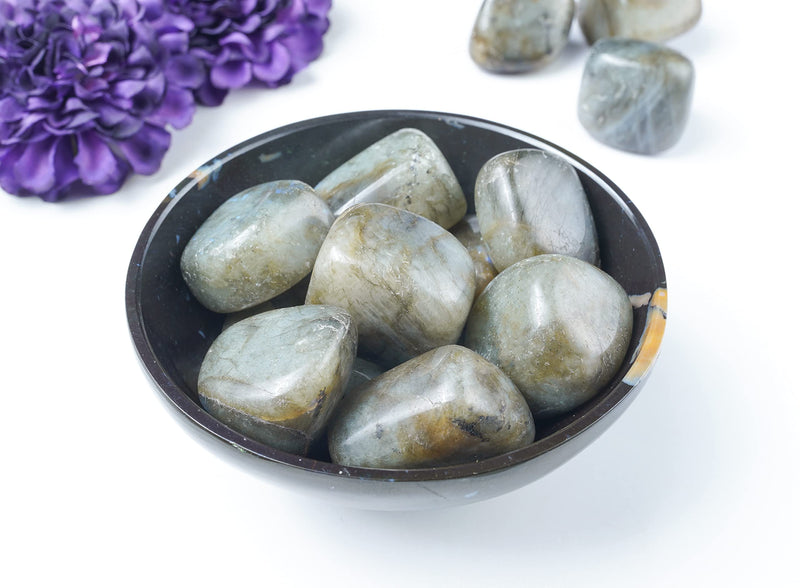 [Australia] - Crocon Labradorite tumbled stones and crystals bulk 13 pieces set for chakra Reiki Crystals polished stones gemstones and crystals tumble for gift #001 Labradorite 