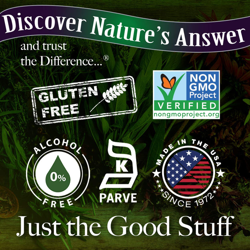 [Australia] - Nature's Answer Mullein Leaf | Herbal Supplement | Supports Healthy Respiratory Function & Healthy Mucous Membranes | Non-GMO & Kosher | Gluten-Free & Alcohol-Free 1oz (2 Pack) 1 Fl Oz (Pack of 2) 