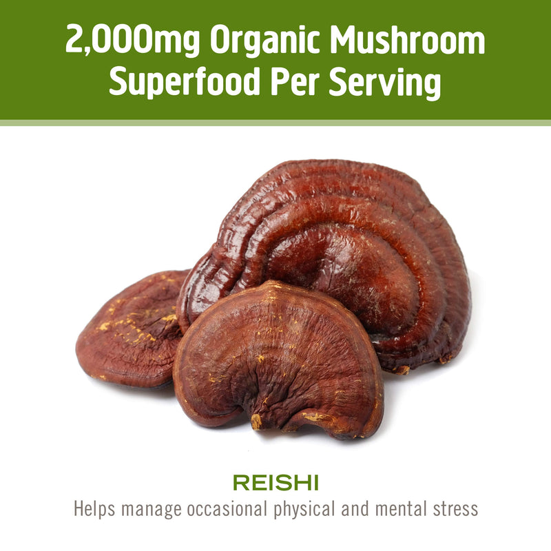[Australia] - Om Mushroom Superfood Reishi Organic Mushroom Powder, 3.5 Ounce, 50 Servings , Adaptogen, Stress & Immune Support, Superfood Mushroom Supplement Reishi Powder 3.5 Ounce (Pack of 1) 