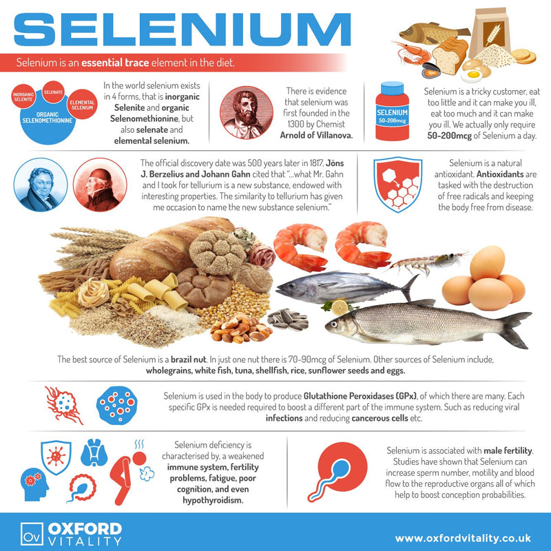 [Australia] - Selenium 200mcg and Zinc 15mg Supplement | Hair Skin and Nails Support | by Oxford Vitality 500 Count (Pack of 1) 