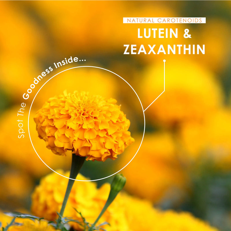 [Australia] - Lutein & Zeaxanthin with BioPerine® – Natural Carotenoids from Marigold Extract – 40mg Lutein 2.85mg Zeaxanthin – Non GMO, Halal – 90 Vegan Capsules 