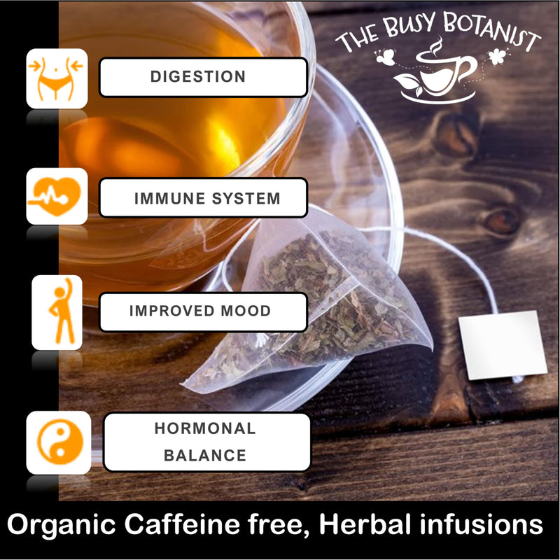 [Australia] - Tum Ease Herbal Tea Bags - Digestion Tea for Bloating Relief and Stomach Ease - Peppermint Tea with Ginger & Chamomile - Caffeine Free, Decaffeinated - 2 x 15 Loose Leaf Tea Bags by The Busy Botanist 