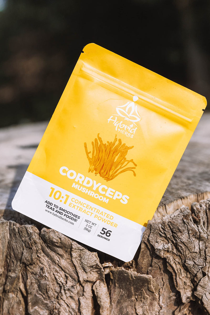 [Australia] - HYBRID HERBS � CORDYCEPS MUSHROOM | 10:1 Extract Powder | Natural Supplement with Polysaccharides & Beta Glucans | Immune, Performance, Energy, Endurance Support | 56 Serving (56g) 