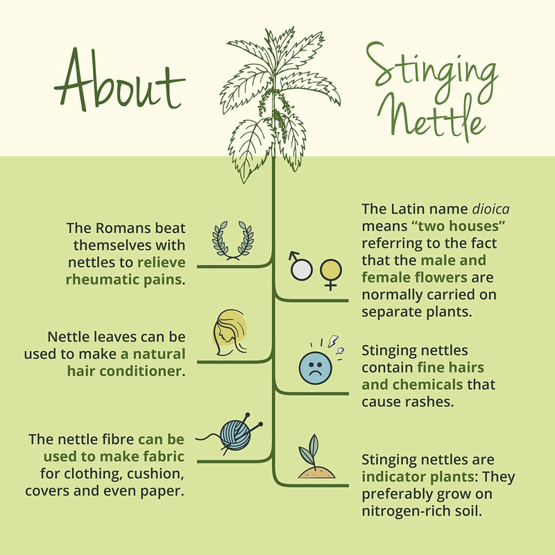 [Australia] - Stinging Nettle Vegavero® | 100% Organic | 2250mg Root & Leaf Extracts | 120 Vegan Capsules | NO Additives | Urtica Dioica 