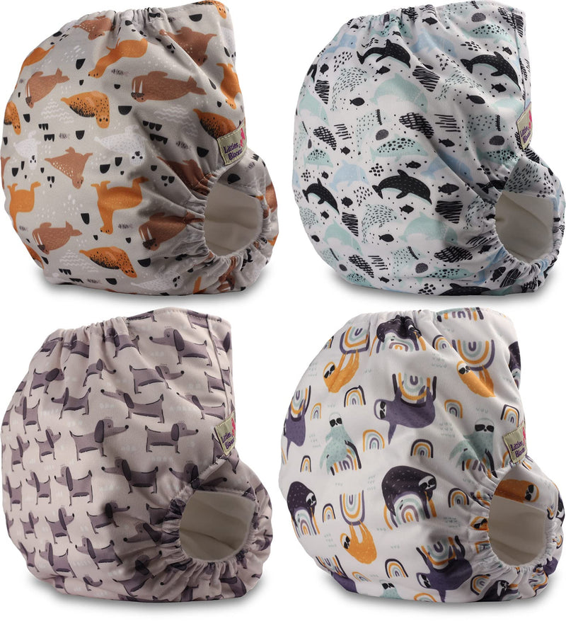[Australia] - Littles and Bloomz Baby Reusable Pocket Nappy Cloth Diaper, Standard Hook-Loop, 4 Nappies, FLV2-0401 0401 