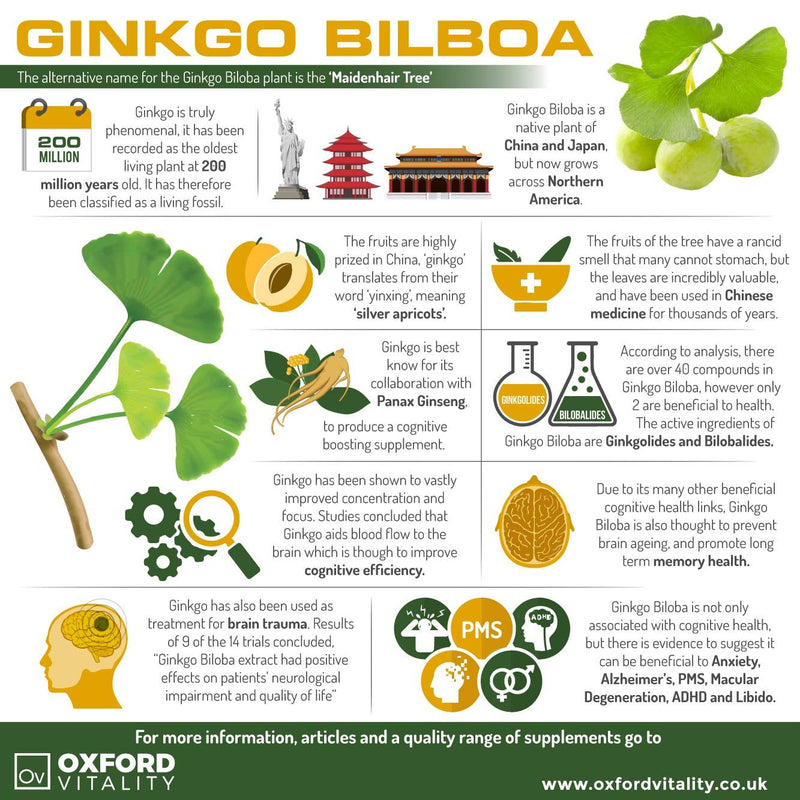 [Australia] - Ginkgo Biloba 3000mg & Ginseng 650mg Tablets | Memory, Cognitive Functions & Sexual Health | Oxford Vitality 120 Count (Pack of 1) 