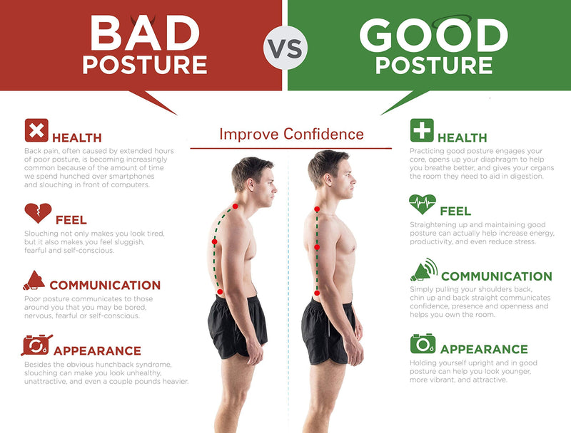 [Australia] - Fully Adjustable Magnetic Orthopedic Back Brace Posture Corrector For Men Women w Lumbar Support Belt -Shoulder, Neck, Upper Lower Back Pain Relief- Best Straightener Trainer Improves Upright Stance L Magnet Large (Pack of 1) 