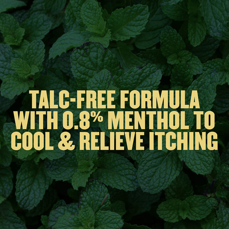 [Australia] - Gold Bond Medicated Talc-Free Extra Strength Body Powder 4 oz., Cooling, Absorbing, Itch Relief 4 Ounce (Pack of 1) 