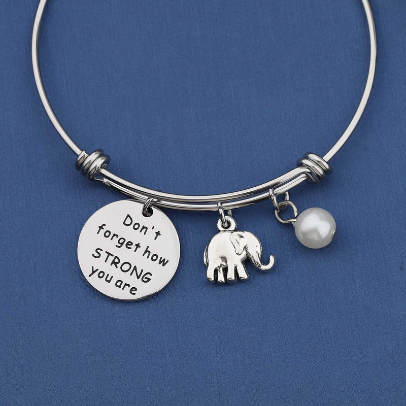 [Australia] - MYOSPARK Elephant Keychain Don't Forget How Strong You Are Inspirational Gift For Graduate Elephant Lovers Elephant Bracelet 