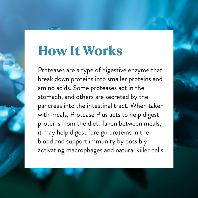 [Australia] - Nature's Sunshine Protease Plus, 90 Capsules | Powerful Digestive Enzyme Supplements with 60,000 HUT Protease to Break Down Proteins and Amino Acids 