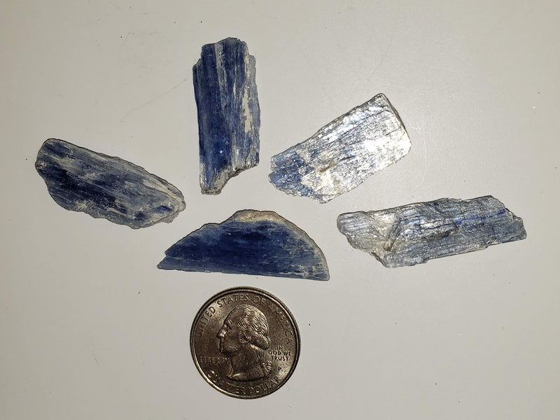 [Australia] - 5pc Set Blue Kyanite Blades with Mica Small/Medium Natural Crystal Healing Gemstone Specimens from Brazil for Jewelry or Wire Wrapping 