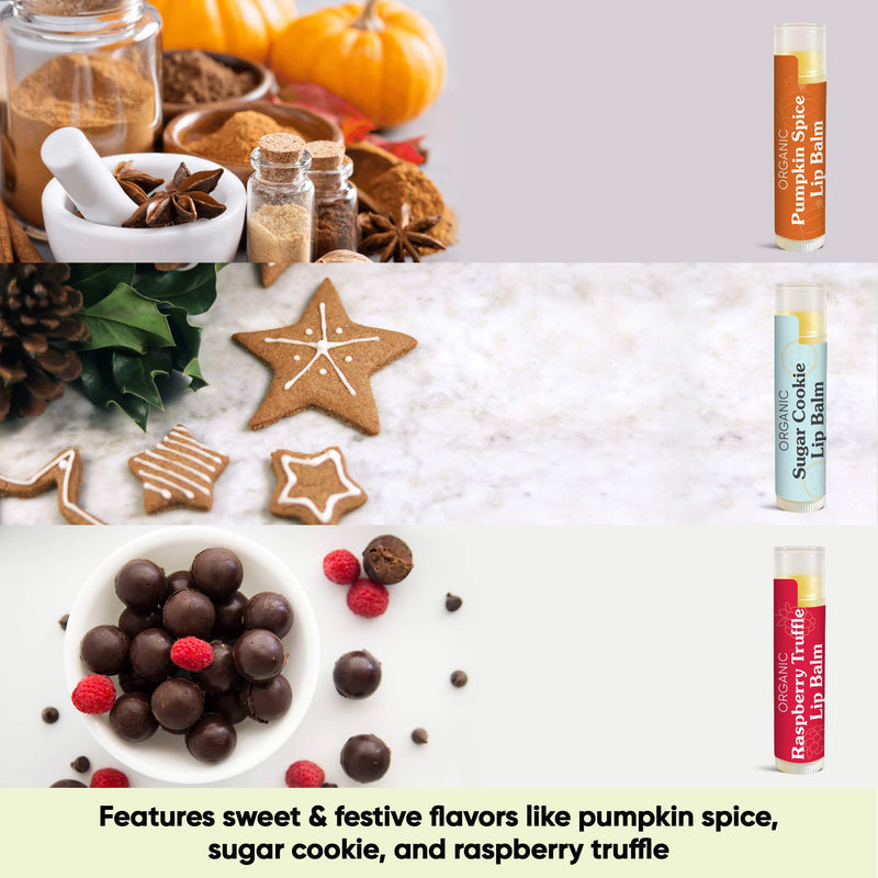 [Australia] - USDA Organic Lip Balm Trio by Sky Organics (3 Sticks) Winter Flavors Moisturizing Lip Balm Gift Set Pumpkin Spice, Sugar Cookie, Raspberry Truffle Limited Edition Cruelty-free Made In USA 