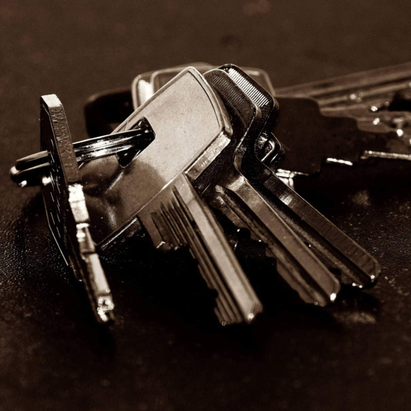 [Australia] - Key Rings,Key Ring Keyring Rustproof, Dog Tag Ring Flat Key Rings Rings Split Keyrings for Home Car Keys Attachment,12 pcs 