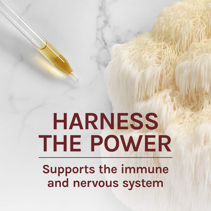 [Australia] - Host Defense, Lion's Mane Extract, Promotes Mental Clarity, Focus and Memory, Daily Mushroom Supplement, Vegan, Organic, 1 fl oz (30 Servings) 1 Fl Oz (Pack of 1) 