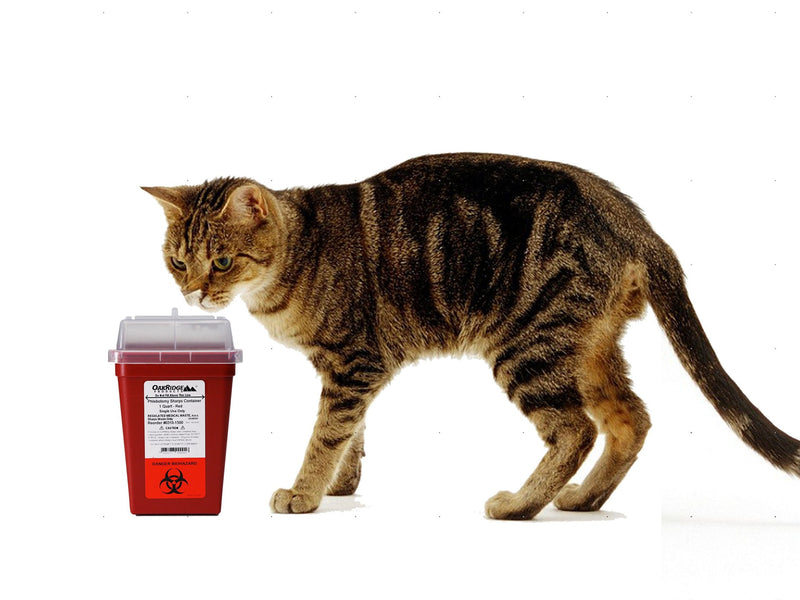 [Australia] - Diabetic Pet Syringe Disposal Container | 1 Quart Size (3 Pack) Design by Vets for Home Safety 