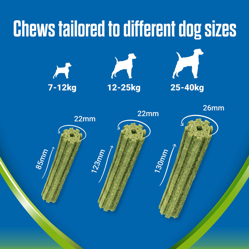 [Australia] - Dentalife ActivFresh Medium Dog Treat Dental Stick 48 Sticks Dentalife ActivFresh 48 Count (Pack of 1) 