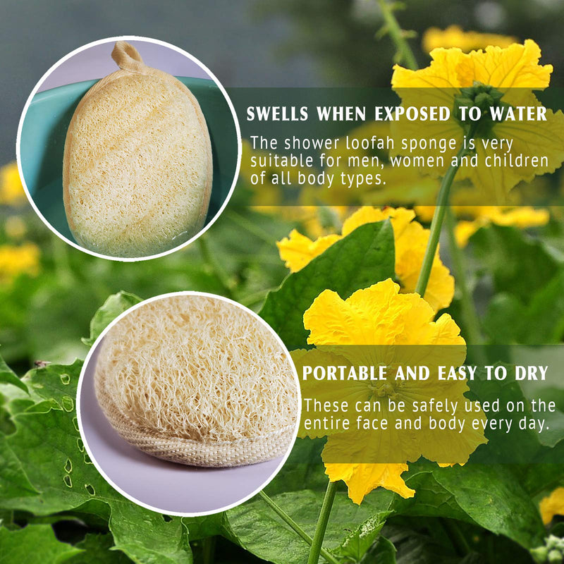 [Australia] - Natural Loofah Sponge Exfoliating(3 packs),Made with Eco-Friendly and Biodegradable Shower Luffa Sponge, Loofah for Women and Men, Beige 