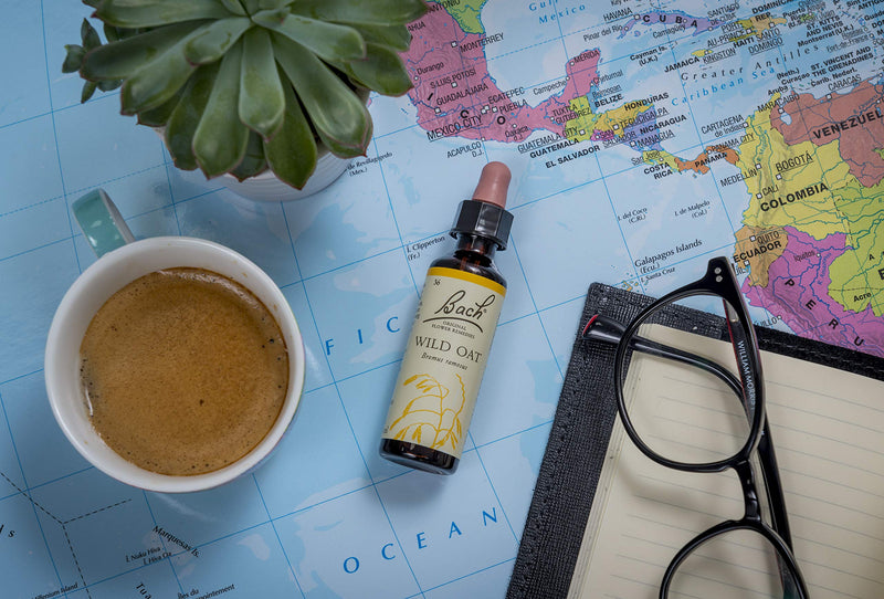 [Australia] - Wild Oat Flower Essence, Improve Emotional Wellness, with Vegan Formula, 20ml Dropper Bottle, Easy to Use with Original Bach Flower Remedies Wild Oat 