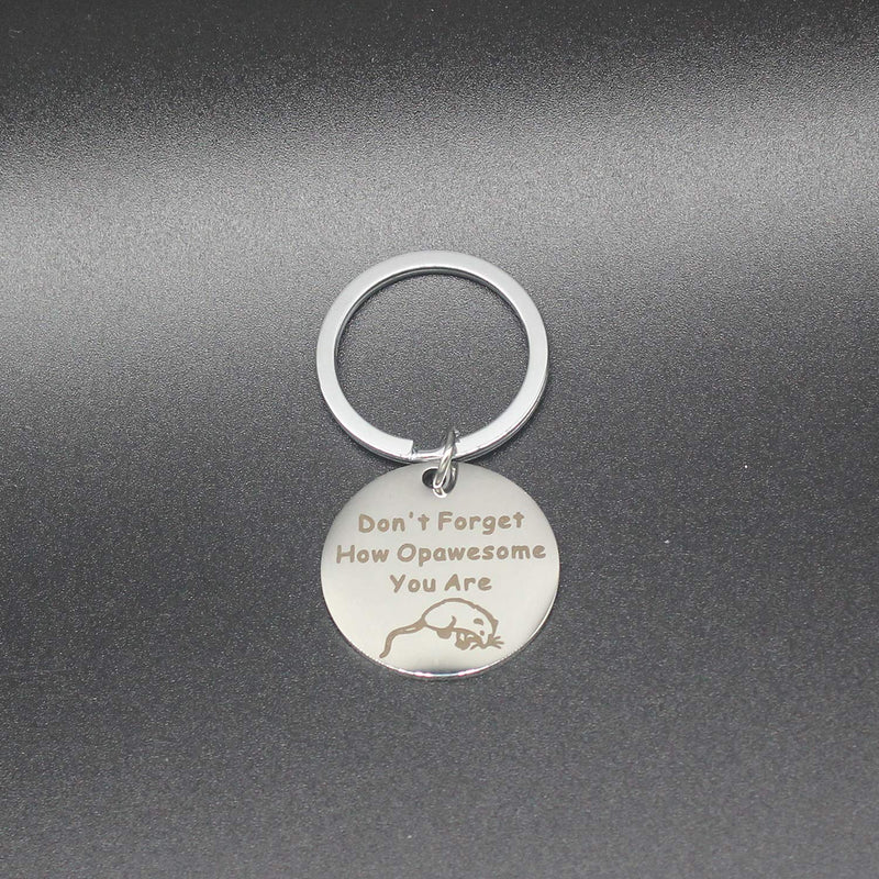 [Australia] - CWSEN Funny Opossum Lover Gift Opossum Jewelry Keychain Don’t Forget How Opawesome You are Inspirational Gift for Best Frien 