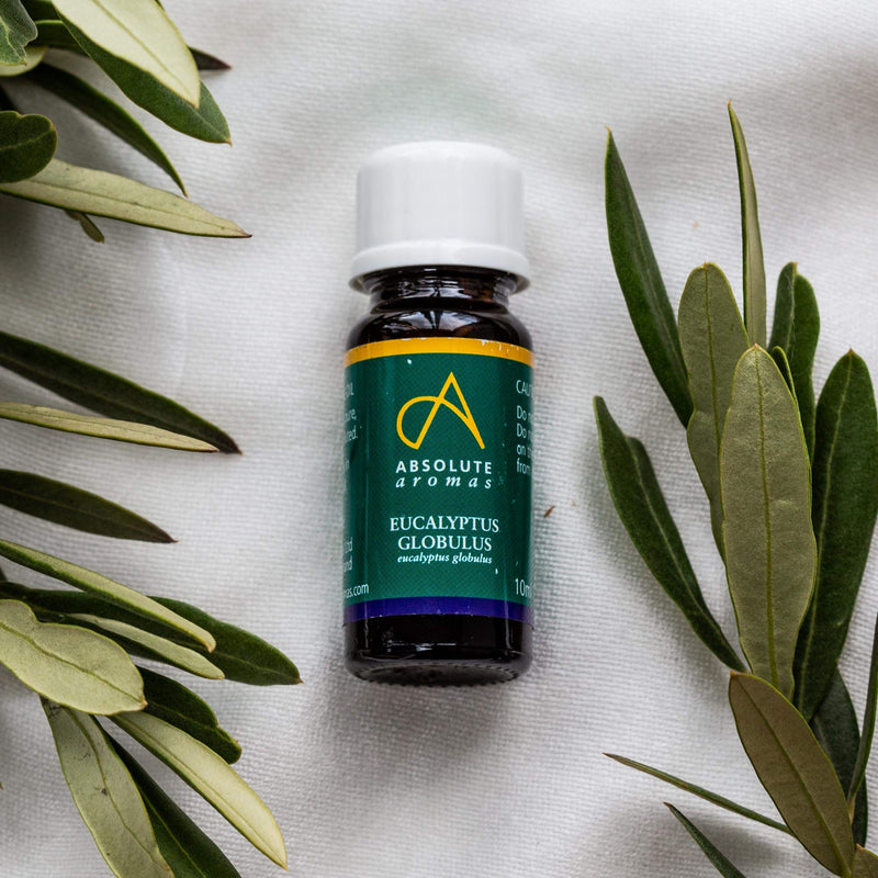 [Australia] - Absolute Aromas Eucalyptus Essential Oil 30ml - 100% Pure, Natural and Undiluted - an Antiseptic and Antibacterial Oil to Soothe and Clear - for use in Diffusers and Aromatherapy 