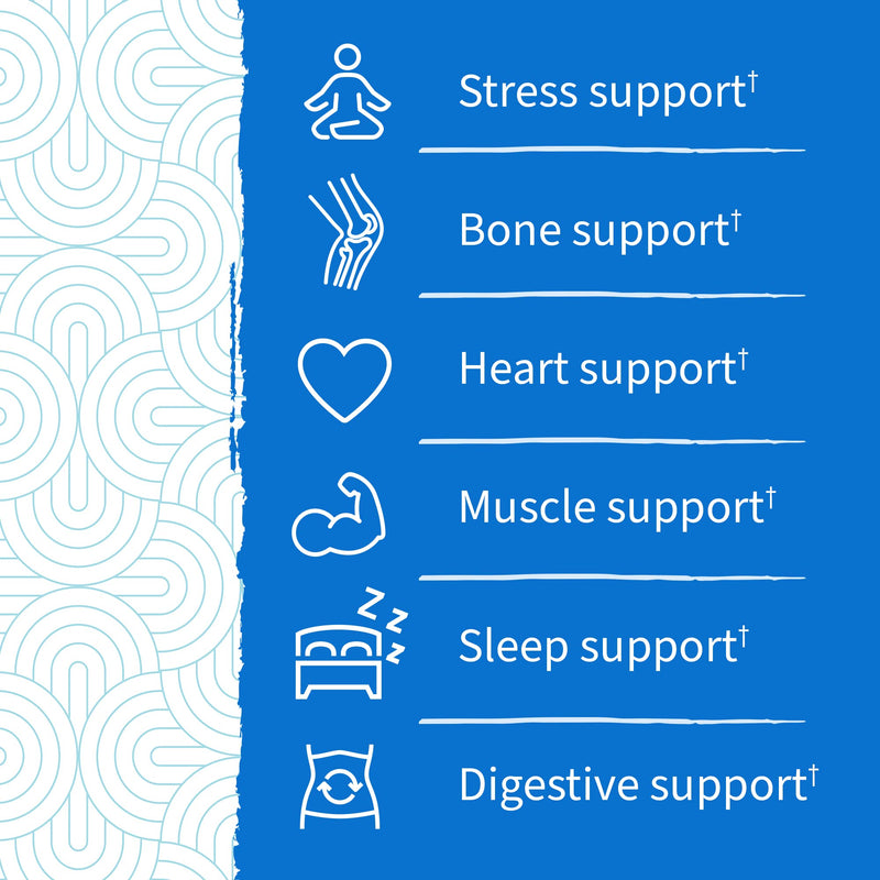 [Australia] - Garden of Life Magnesium Stress Support Gummies with Prebiotics & Probiotics for Sleep and Recovery with No Added Sugars – Dr Formulated, Vegan, Gluten Free, Kosher and Non GMO – 60 Raspberry Gummies 