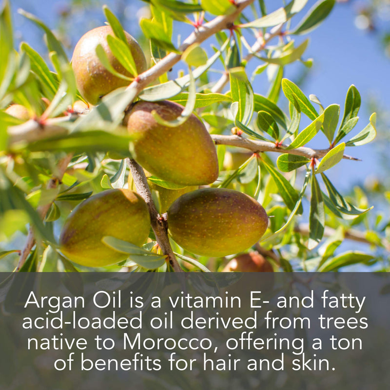[Australia] - Pure Body Naturals Organic Argan Oil for Skin, Face, Hair & Nails, 4 fluid ounces 