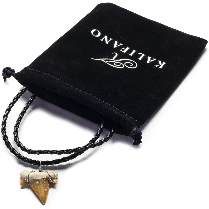 [Australia] - KALIFANO Fossilized Shark Tooth Necklace - Authentic Prehistoric Megaladon Teeth Fossil Pendant on 20" Inch Braided Leather Cord - Great Gift for Men and Boys (Information Card Included) 