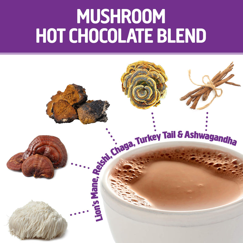 [Australia] - Om Mushroom Superfood Hot Chocolate Blend Mushroom Powder, Single Serve, 10 Count, Dutch Cocoa, 2g of Sugar, 25 Calories, Lion's Mane, Reishi, Chaga, Turkey Tail, Focus and Stress Support 10 Servings 