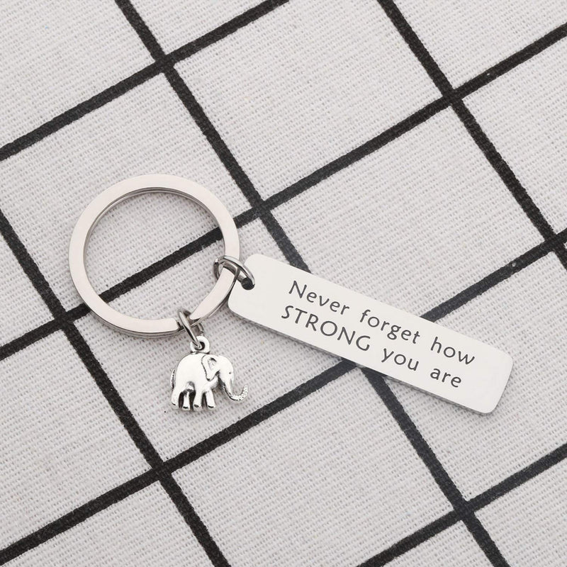 [Australia] - bobauna Elephant Keychain Don't Forget How Strong You are Strength Jewelry Uplifting Gift for Friend Family Animal Lovers never forget keychain 