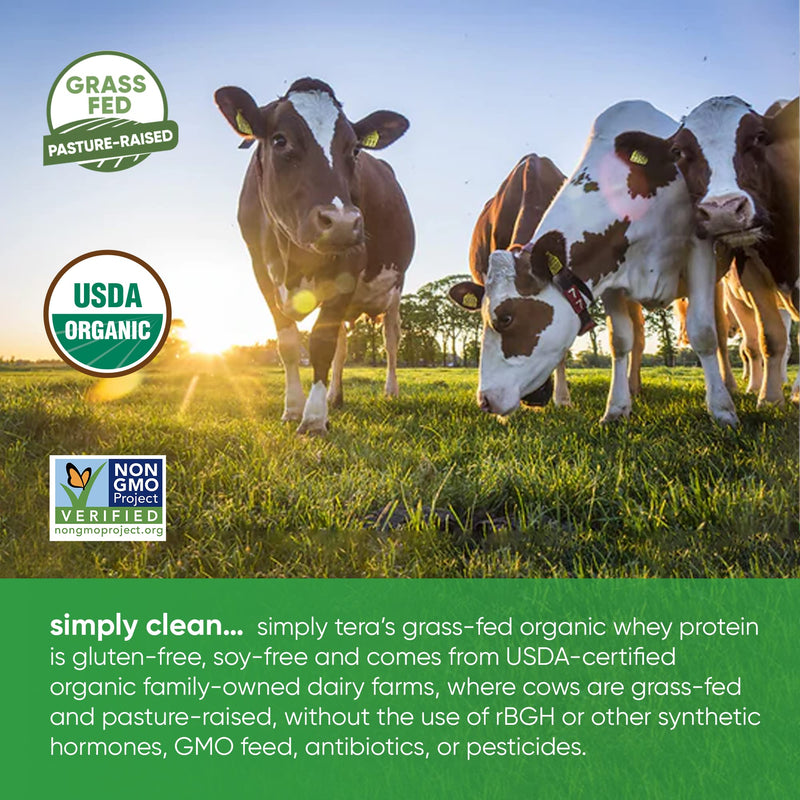 [Australia] - Tera's Whey Organic Protein, Dark Chocolate, 12 oz 12 Ounce (Pack of 1) 