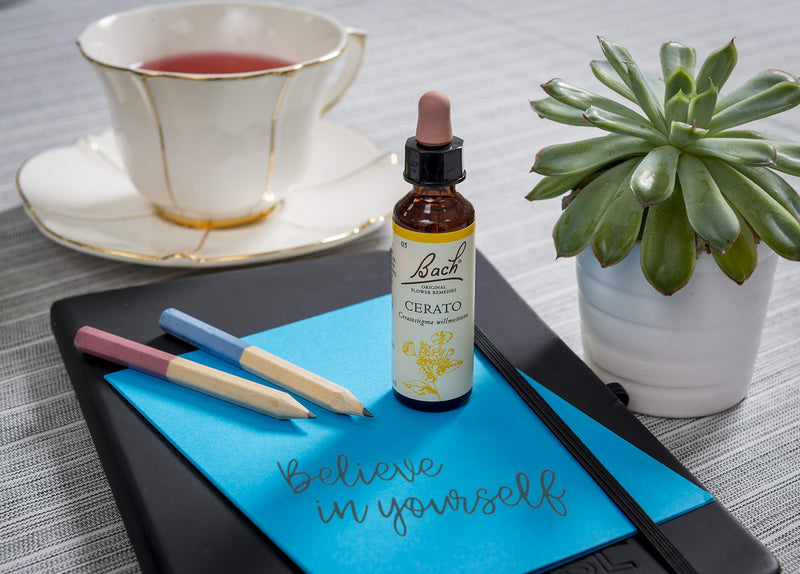 [Australia] - Bach Original Flower Remedy Cerato, Flower Essences, Vegan formula, Let me be me, An Individual and Personal Approach to Emotional Wellness, Easy to use, 1 Dropper Bottle x 20 ml 